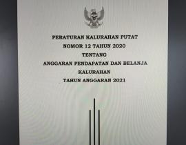 PERATURAN KALURAHAN PUTAT NOMOR 12 TAHUN 2020 TENTANG APBKAL TAHUN ANGGARAN 2021